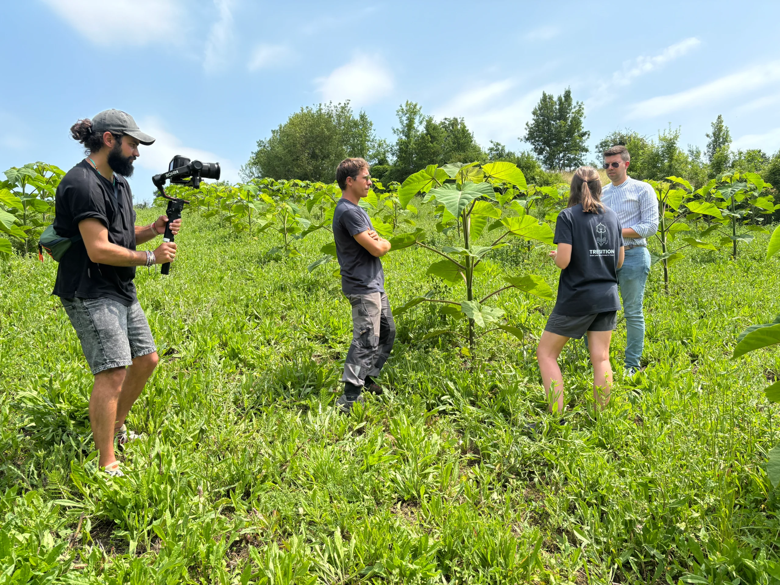 L'agence Arrow a organisé un tournage à Clairac sur le champ de son client Treesition.